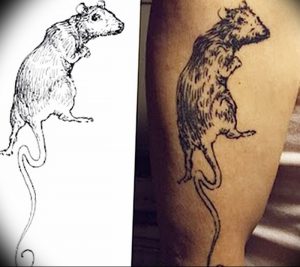 фото тату крыса от 27.07.2017 №100 - Rat tattoo_tattoo-photo.ru
