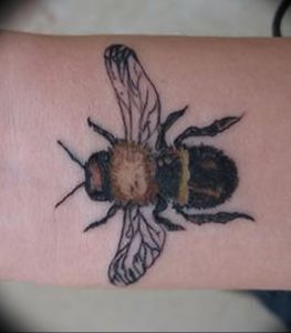 фото тату шмель от 29.07.2017 №074 - Tattoo bumblebee_tattoo-photo.ru