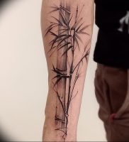 фото тату бамбук от 25.08.2017 №001 — Tattoo 13 — Tattoo bamboo — tattoo-photo.ru