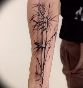 фото тату бамбук от 25.08.2017 №001 - Tattoo 13 - Tattoo bamboo - tattoo-photo.ru