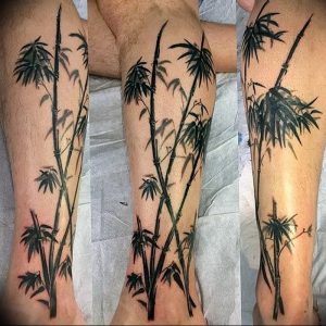 фото тату бамбук от 25.08.2017 №084 - Tattoo 13 - Tattoo bamboo - tattoo-photo.ru