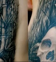 фото тату бамбук от 25.08.2017 №087 — Tattoo 13 — Tattoo bamboo — tattoo-photo.ru