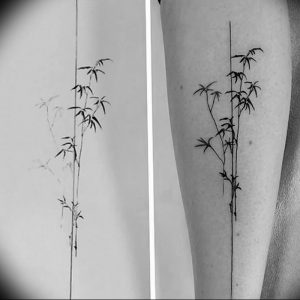 фото тату бамбук от 25.08.2017 №089 - Tattoo 13 - Tattoo bamboo - tattoo-photo.ru