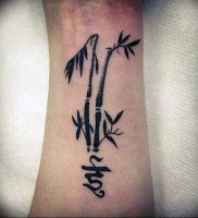 фото тату бамбук от 25.08.2017 №090 — Tattoo 13 — Tattoo bamboo — tattoo-photo.ru