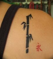 фото тату бамбук от 25.08.2017 №092 — Tattoo 13 — Tattoo bamboo — tattoo-photo.ru