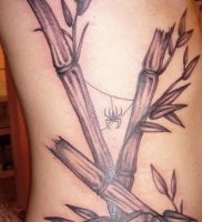 фото тату бамбук от 25.08.2017 №093 — Tattoo 13 — Tattoo bamboo — tattoo-photo.ru