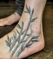 фото тату бамбук от 25.08.2017 №096 — Tattoo 13 — Tattoo bamboo — tattoo-photo.ru