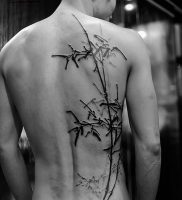 фото тату бамбук от 25.08.2017 №099 — Tattoo 13 — Tattoo bamboo — tattoo-photo.ru