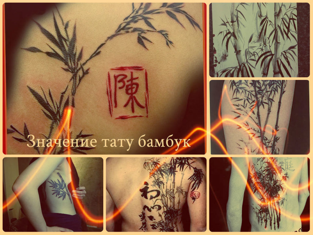 Значение тату бамбук - фото примеры готовых рисунков татуировки