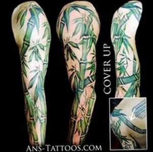 фото тату бамбук от 25.08.2017 №025 - Tattoo 13 - Tattoo bamboo - tattoo-photo.ru