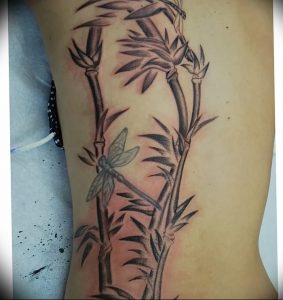 фото тату бамбук от 25.08.2017 №031 - Tattoo 13 - Tattoo bamboo - tattoo-photo.ru