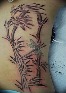 фото тату бамбук от 25.08.2017 №036 - Tattoo 13 - Tattoo bamboo - tattoo-photo.ru