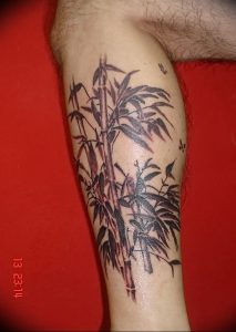 фото тату бамбук от 25.08.2017 №051 - Tattoo 13 - Tattoo bamboo - tattoo-photo.ru