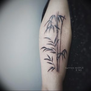 фото тату бамбук от 25.08.2017 №068 - Tattoo 13 - Tattoo bamboo - tattoo-photo.ru