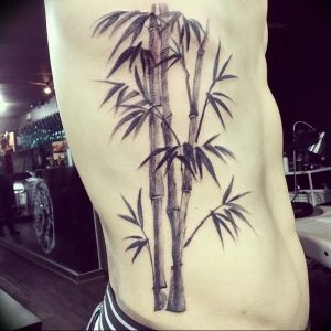 фото тату бамбук от 25.08.2017 №071 - Tattoo 13 - Tattoo bamboo - tattoo-photo.ru