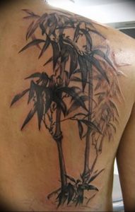 фото тату бамбук от 25.08.2017 №074 - Tattoo 13 - Tattoo bamboo - tattoo-photo.ru