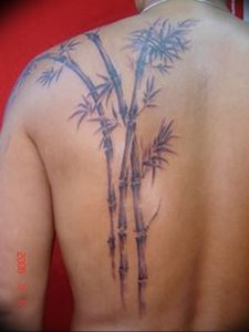 фото тату бамбук от 25.08.2017 №078 - Tattoo 13 - Tattoo bamboo - tattoo-photo.ru