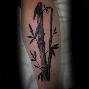 фото тату бамбук от 25.08.2017 №081 - Tattoo 13 - Tattoo bamboo - tattoo-photo.ru