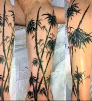 фото тату бамбук от 25.08.2017 №083 — Tattoo 13 — Tattoo bamboo — tattoo-photo.ru