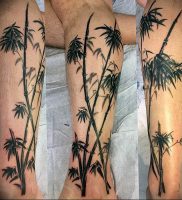 фото тату бамбук от 25.08.2017 №084 — Tattoo 13 — Tattoo bamboo — tattoo-photo.ru