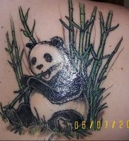 фото тату бамбук от 25.08.2017 №085 — Tattoo 13 — Tattoo bamboo — tattoo-photo.ru