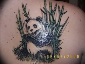фото тату бамбук от 25.08.2017 №085 - Tattoo 13 - Tattoo bamboo - tattoo-photo.ru