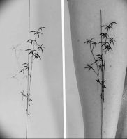 фото тату бамбук от 25.08.2017 №089 — Tattoo 13 — Tattoo bamboo — tattoo-photo.ru