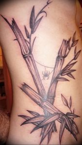фото тату бамбук от 25.08.2017 №093 - Tattoo 13 - Tattoo bamboo - tattoo-photo.ru