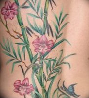 фото тату бамбук от 25.08.2017 №095 — Tattoo 13 — Tattoo bamboo — tattoo-photo.ru