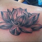 фото тату лотос от 02.10.2017 №027 - lotus tattoo - tattoo-photo.ru
