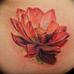 фото тату лотос от 02.10.2017 №034 - lotus tattoo - tattoo-photo.ru