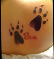 фото тату медвежья лапа от 30.09.2017 №125 — bear paw tattoo — tattoo-photo.ru