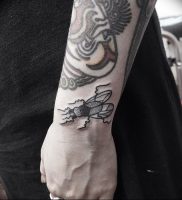 фото тату муха от 22.09.2017 №002 — Fly Tattoo — tattoo-photo.ru