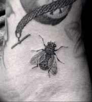 фото тату муха от 22.09.2017 №004 — Fly Tattoo — tattoo-photo.ru