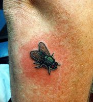 фото тату муха от 22.09.2017 №007 — Fly Tattoo — tattoo-photo.ru
