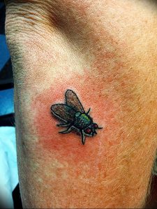 фото тату муха от 22.09.2017 №007 - Fly Tattoo - tattoo-photo.ru