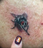 фото тату муха от 22.09.2017 №009 — Fly Tattoo — tattoo-photo.ru