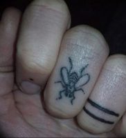 фото тату муха от 22.09.2017 №019 — Fly Tattoo — tattoo-photo.ru