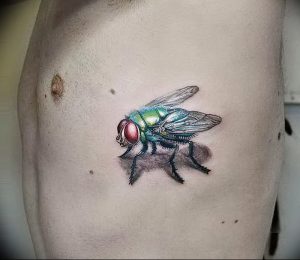 фото тату муха от 22.09.2017 №022 - Fly Tattoo - tattoo-photo.ru