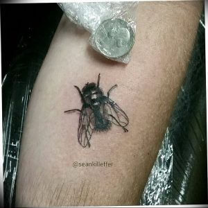 фото тату муха от 22.09.2017 №038 - Fly Tattoo - tattoo-photo.ru