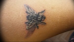 фото тату муха от 22.09.2017 №055 - Fly Tattoo - tattoo-photo.ru