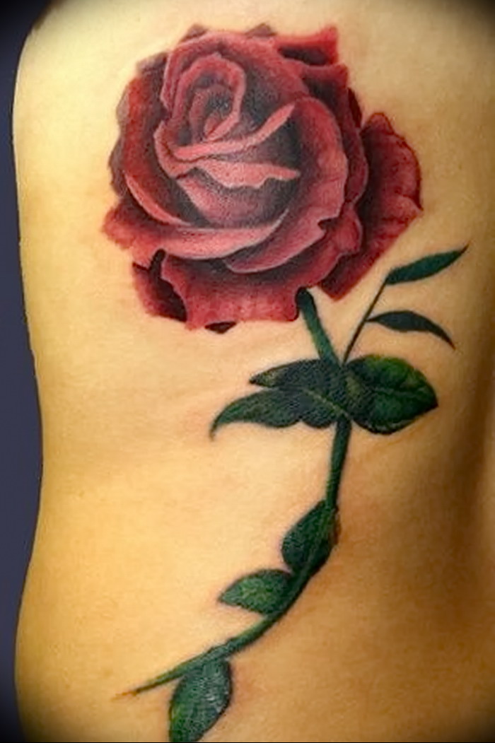 фото тату роза от 30.09.2017 № 015 - rose tattoo - tattoo-photo.ru.