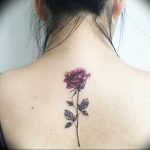 фото тату роза от 30.09.2017 №112 - rose tattoo - tattoo-photo.ru