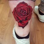 фото тату роза от 30.09.2017 №114 - rose tattoo - tattoo-photo.ru
