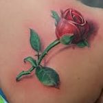 фото тату роза от 30.09.2017 №115 - rose tattoo - tattoo-photo.ru