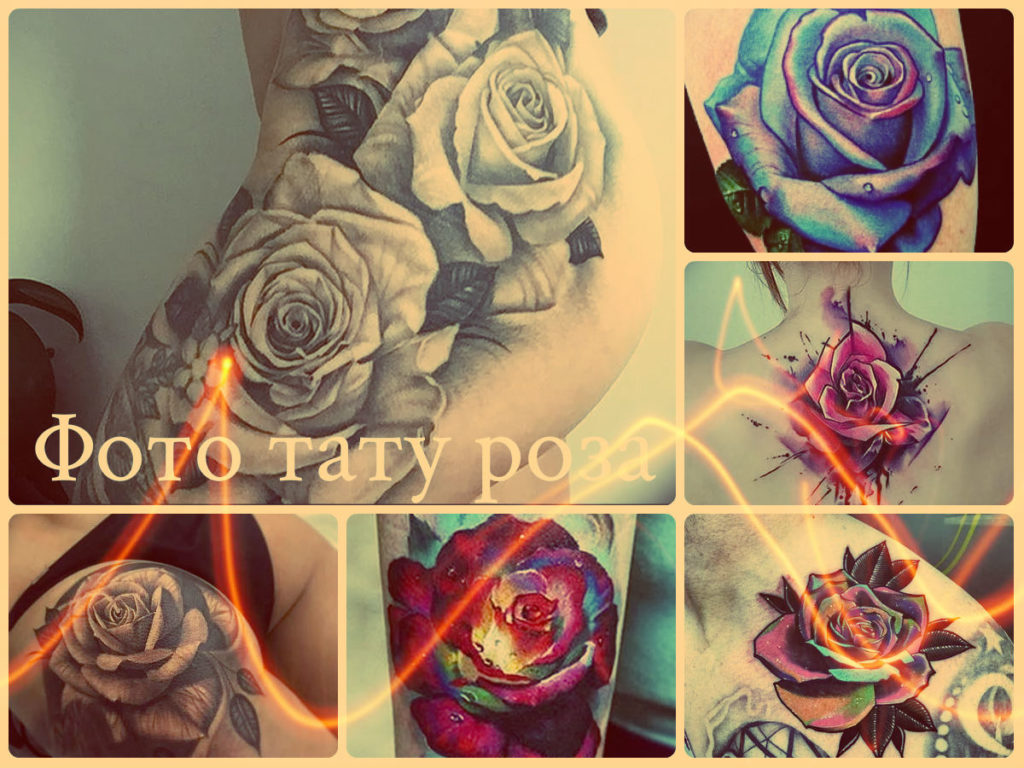 Фото тату роза - примеры рисунков готовых татуировок - коллекция