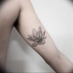 фото тату лотос от 02.10.2017 №025 - lotus tattoo - tattoo-photo.ru