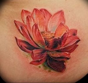 фото тату лотос от 02.10.2017 №034 - lotus tattoo - tattoo-photo.ru