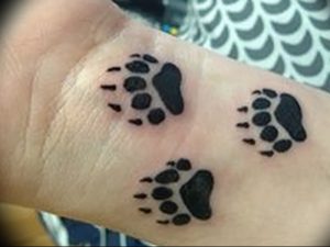 фото тату медвежья лапа от 30.09.2017 №003 - bear paw tattoo - tattoo-photo.ru