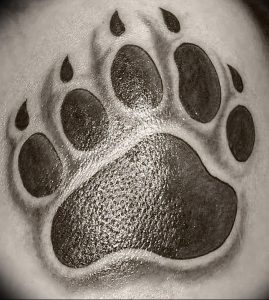 фото тату медвежья лапа от 30.09.2017 №011 - bear paw tattoo - tattoo-photo.ru